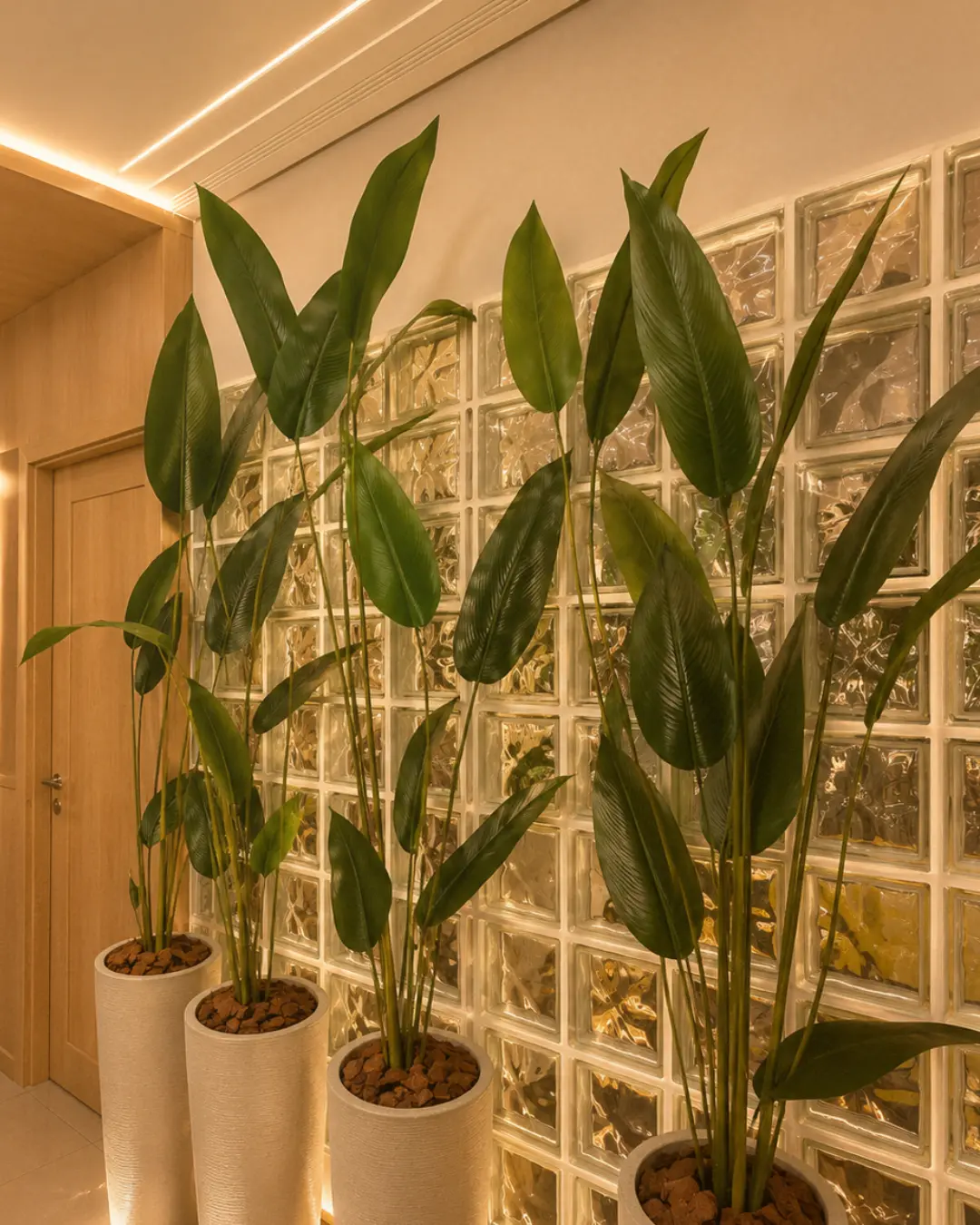 Ambiente do consultório de nutrição com plantas